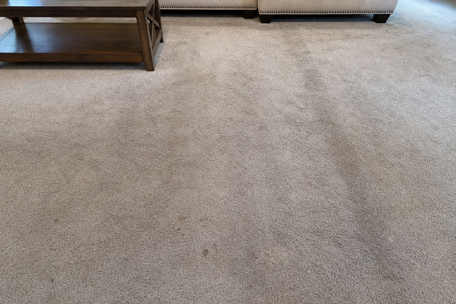 Carpet before HBM cleaning